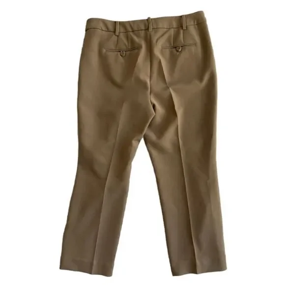 Talbots Raleigh muted acorn Straight leg Light brown Tan pants trousers sz 10 - Picture 3 of 11
